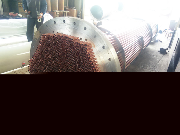 肇東電廠 - 300㎡換熱器冷卻芯